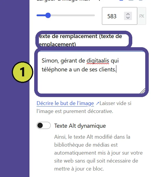 Le champ Texte de remplacement dans la colonne de droite de l'éditeur
