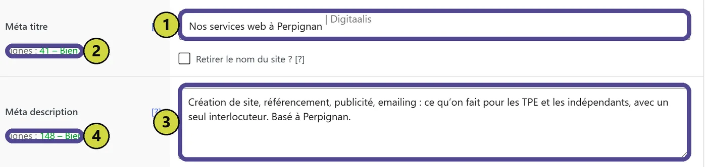 Les champs Méta titre et Méta description avec leurs compteurs de signes