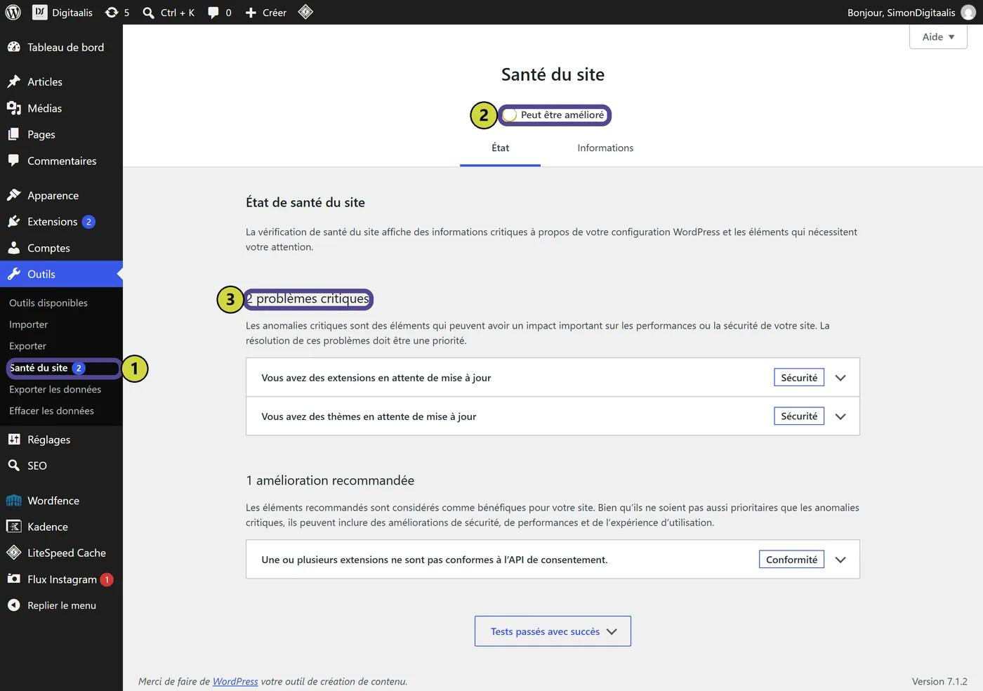 L'écran Santé du site, où WordPress résume ce qui va et ce qui ne va pas